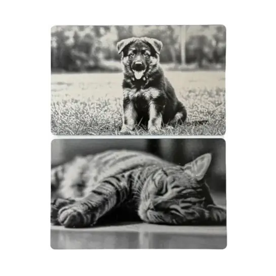 Photo Engraving Pets Photo Engraving Pets
